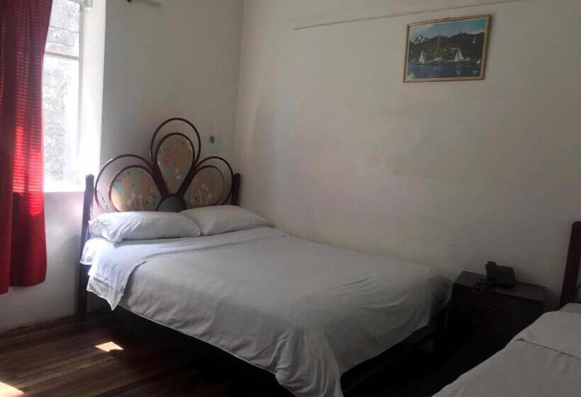 هاستل Hostal Luz Wilson