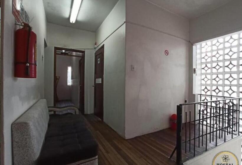 هاستل Hostal Luz Wilson