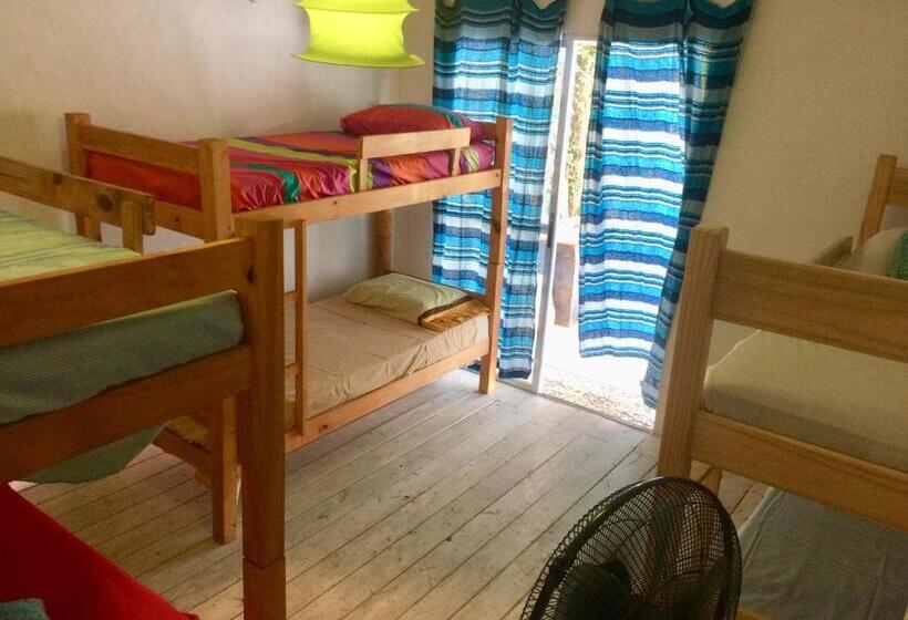 هاستل La Gozadera House