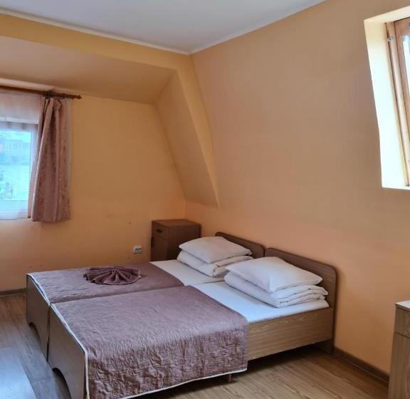 Hotel готель ас ясіня