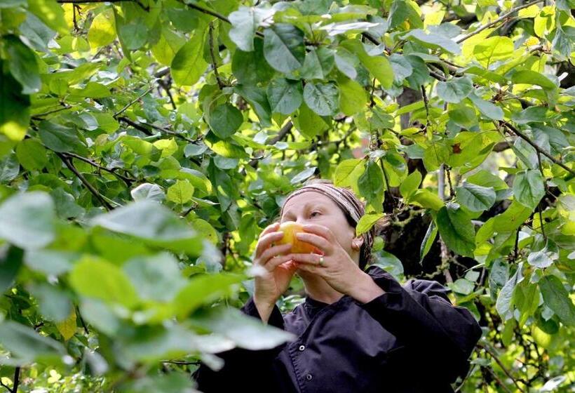 בית מלון כפרי Alter Hof Am Elbdeich