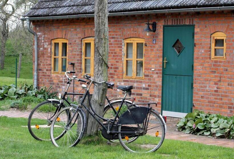 בית מלון כפרי Alter Hof Am Elbdeich