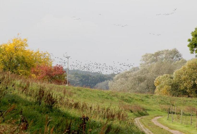 בית מלון כפרי Alter Hof Am Elbdeich