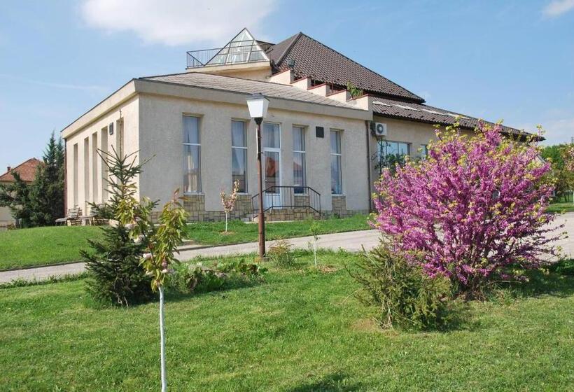 酒店 Guest House Uzhgorod