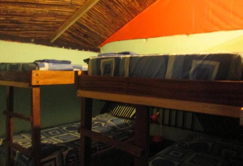 پانسیون Hostel Cattleya