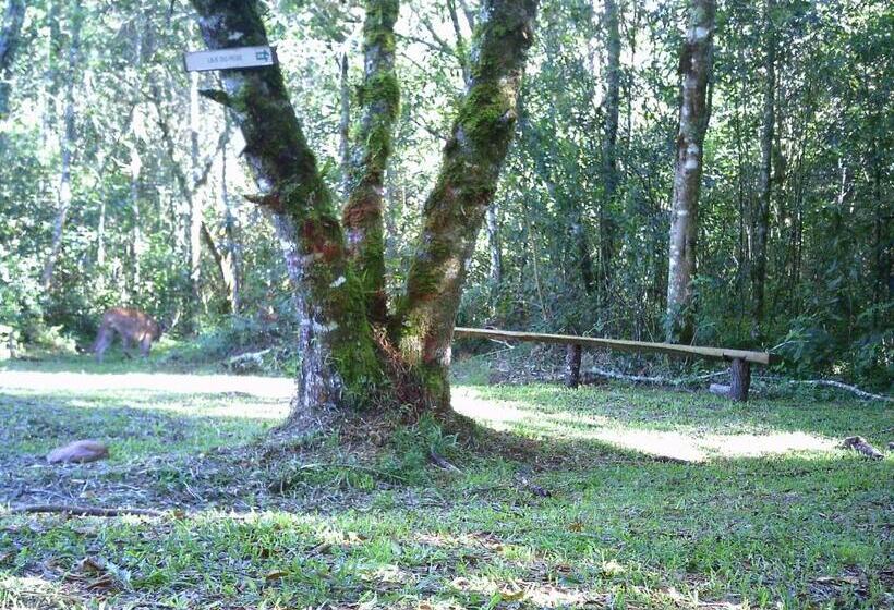 ユースホステル Pousada Do Morro Verde