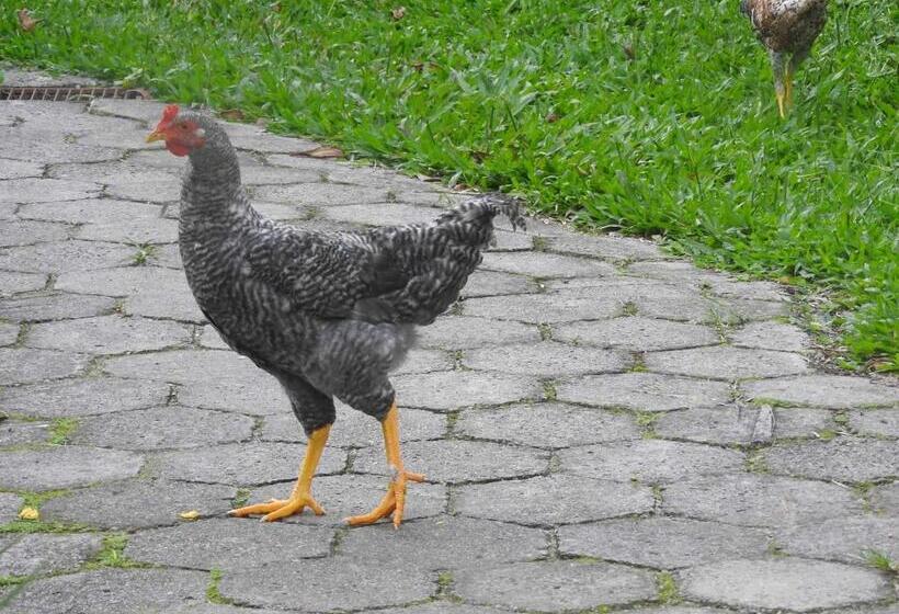 Общежитие Pousada Do Pescador