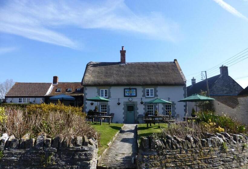호스텔 The Kingsdon Inn