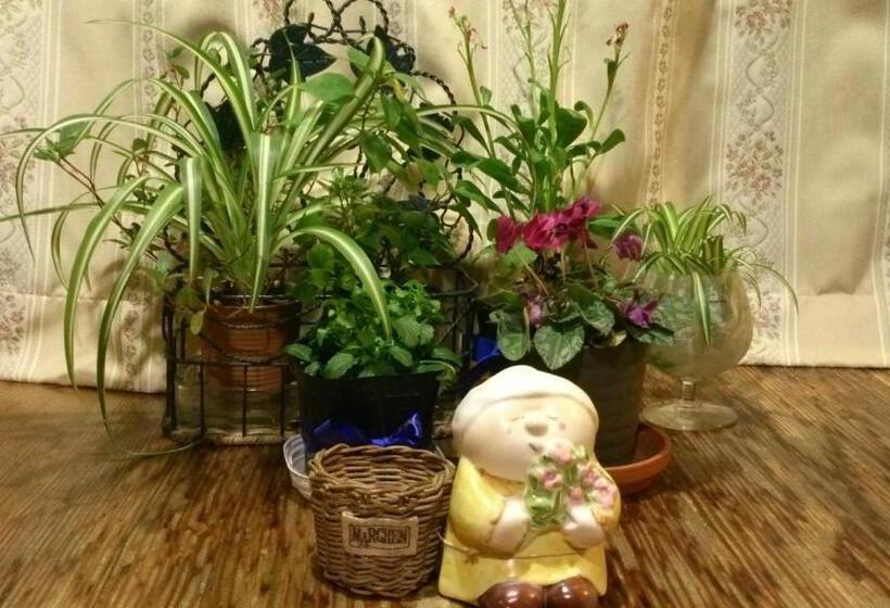 مبيت وإفطار Gallery & Lodge Noichigo