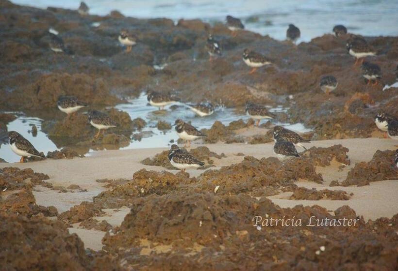 Bed and Breakfast Issablanca