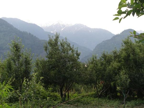 مبيت وإفطار Malis Apple Lodge