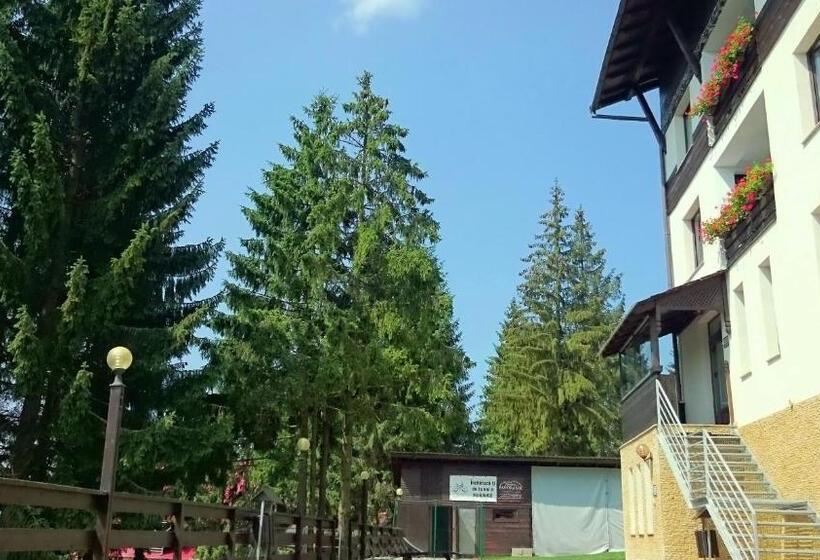 تختخواب و صبحانه Pensiunea Panoramic