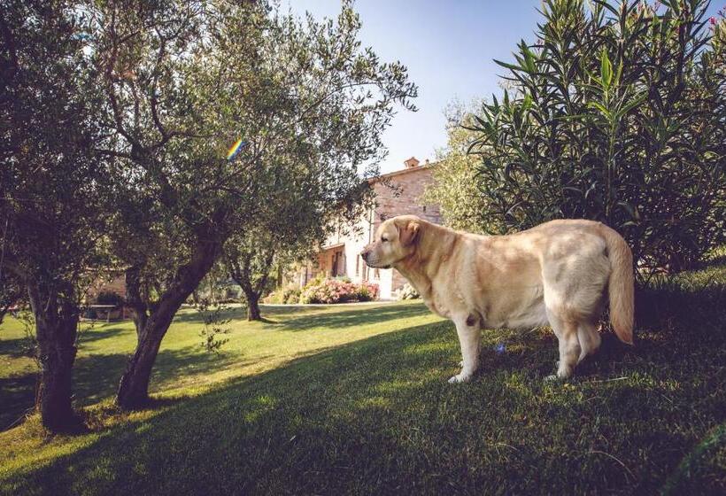فندق Agriturismo Casal San Sergio