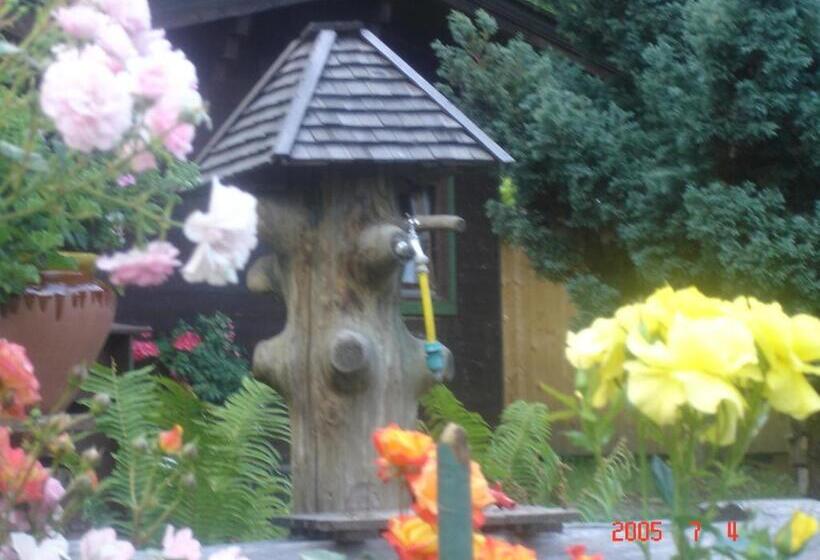 بنسيون Gasthof Pichler