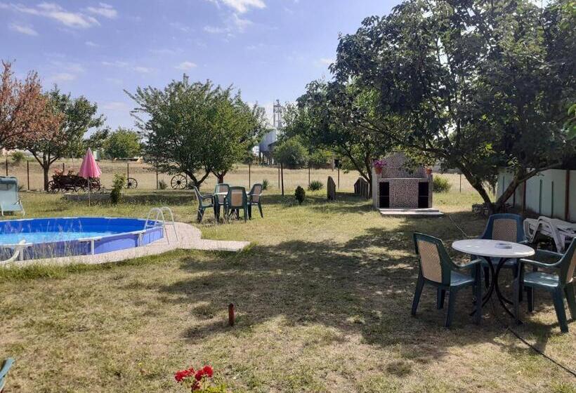 بنسيون Guest House Edelvais