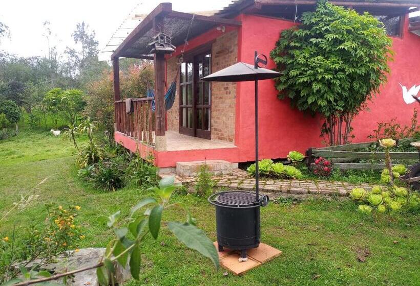ペンション Monte Verde Cabañas Y Camping