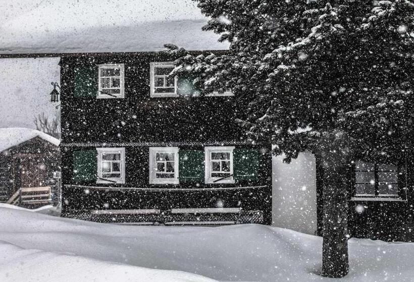 پانسیون Sandbur Das Walserhaus