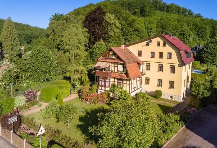 بنسيون Villa Martha