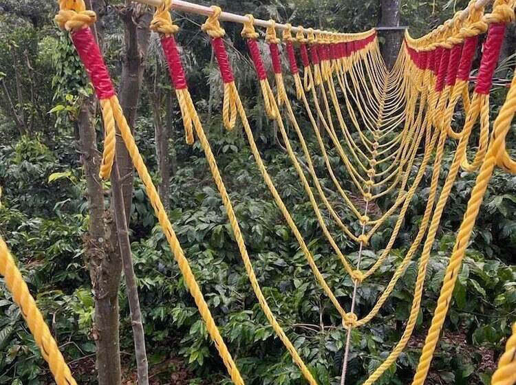 住宿加早餐  Suggi Nature Resort Coorg