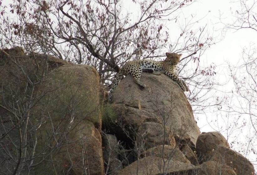 فندق Balule Bushveld Safari Lodge