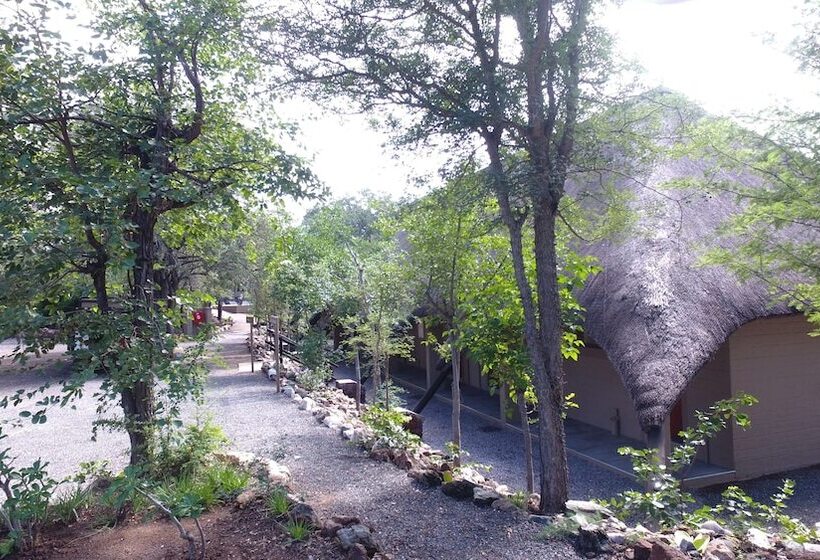 فندق Balule Bushveld Safari Lodge
