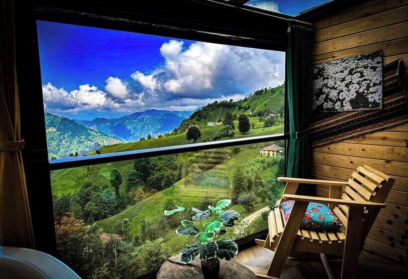 酒店 Organikkoy Bungalov