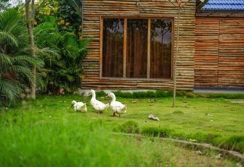 Kaadgal Resort