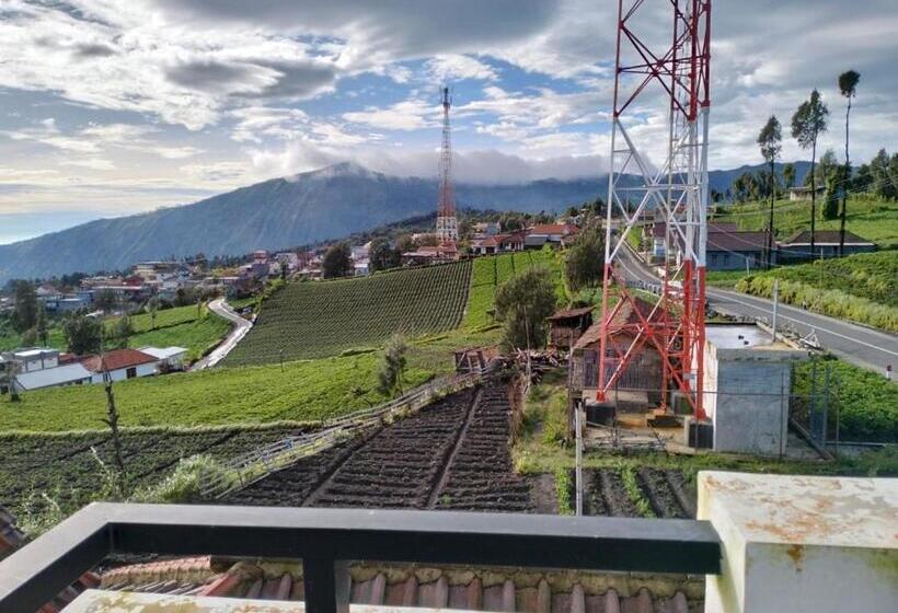 ペンション Bromo Seruni Astungkara Homestay