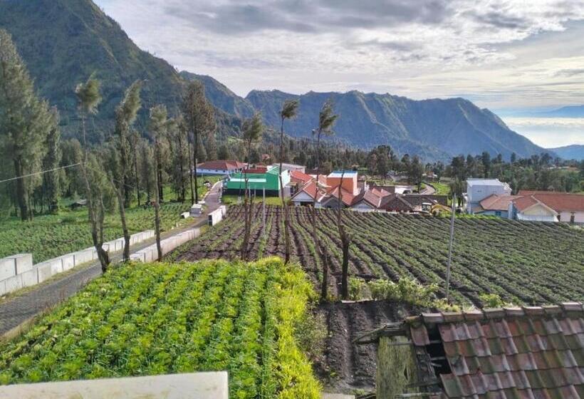 ペンション Bromo Seruni Astungkara Homestay