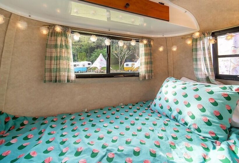 Пансион Geumsan Lalaland Caravan