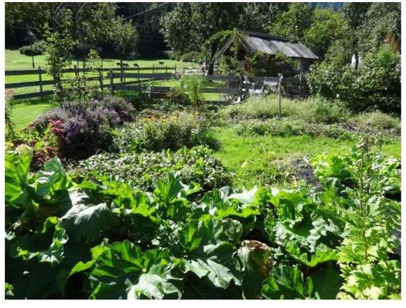 בית מלון כפרי Lissis Bauernhof Appartments