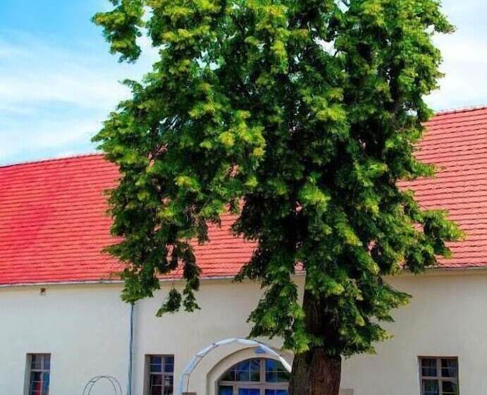 Pałac Wiechlice   Hotel, Restaurant, Spa