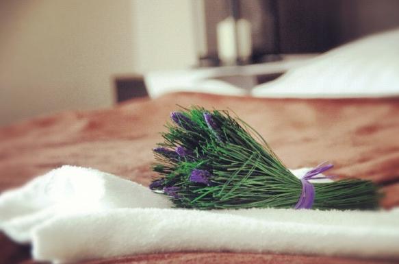 هتل Victor Berg Resort