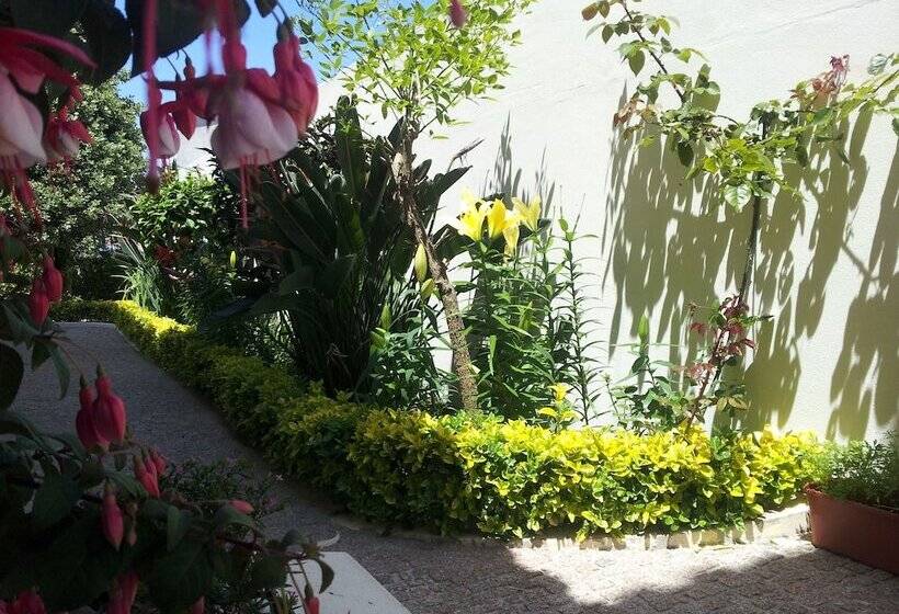 فندق Villa D'arcos