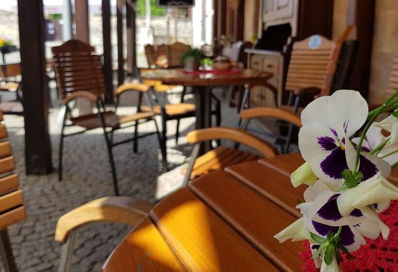 בית מלון כפרי Zamkowy Młyn