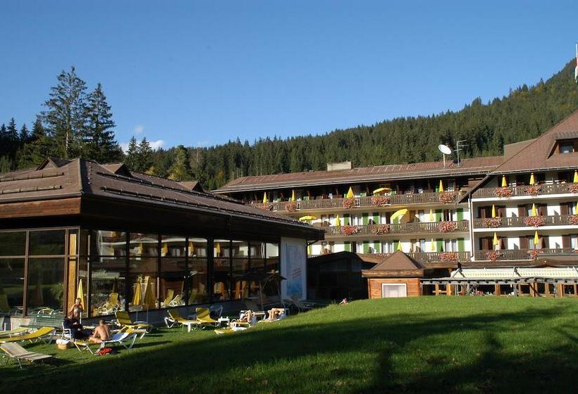 Kurhotel Weissbriach