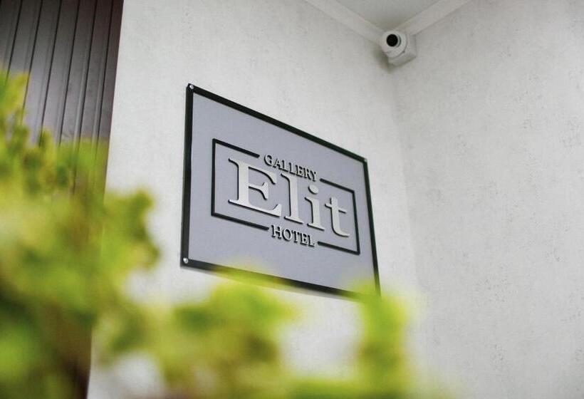 בית מלון כפרי Gallery Elit