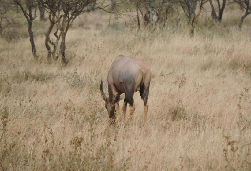 ホテル Upendo Safari Lodge