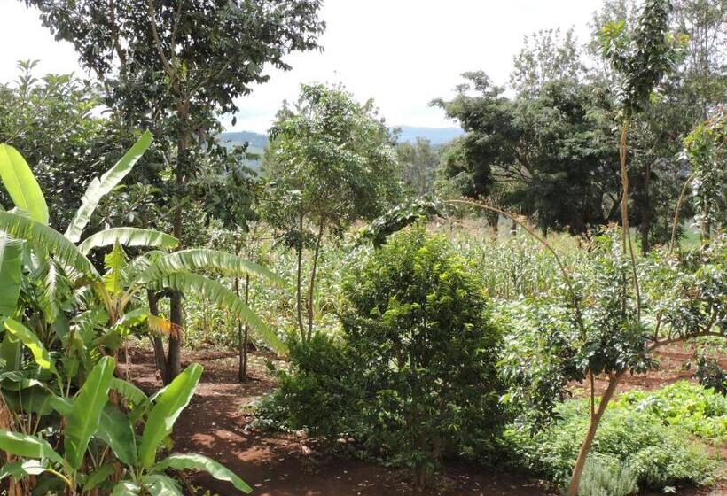 ホテル Upendo Safari Lodge