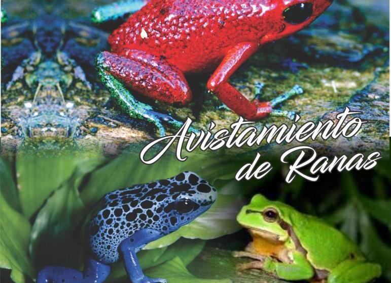 هتل Cabañas Iracas Del Mar