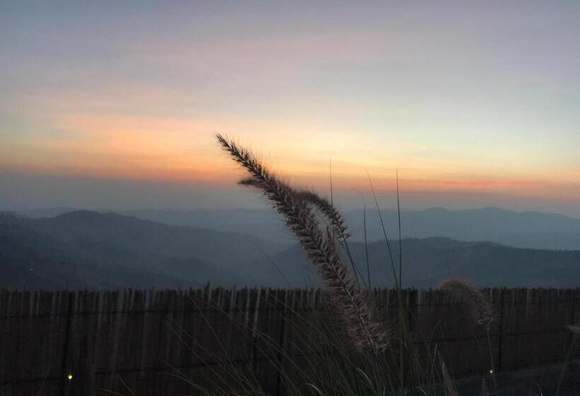 酒店 Cozy Homey Doichang