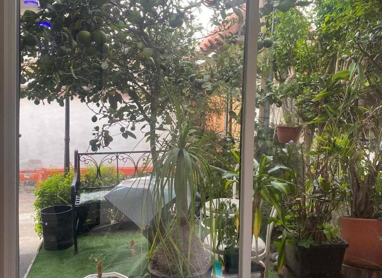 بنسيون Calu L  Petit Hostel