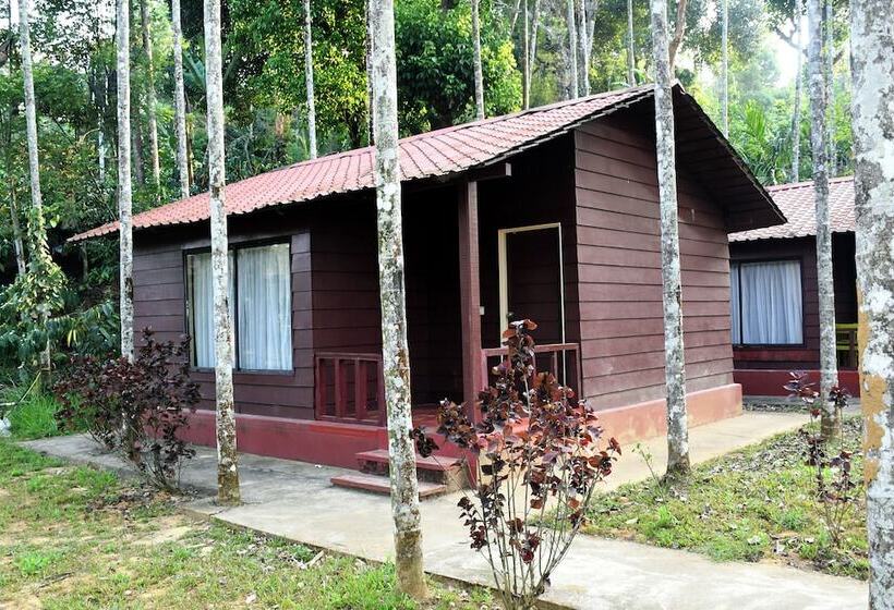 Lazo Areca Resort
