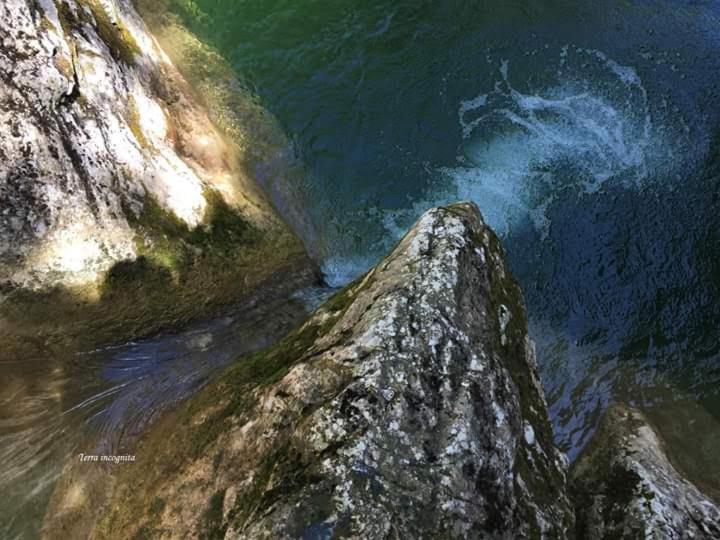 پانسیون Prenoćište Stojadinović