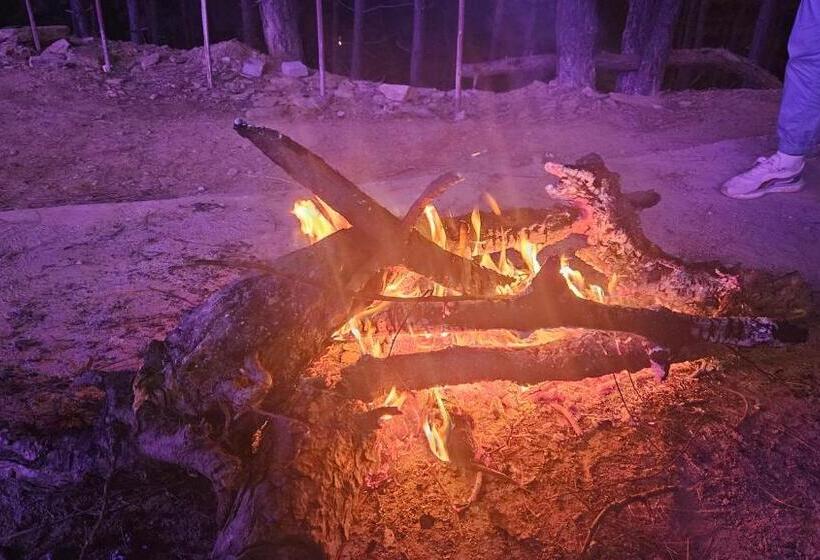 אתר נופש Shiv Forest Villas