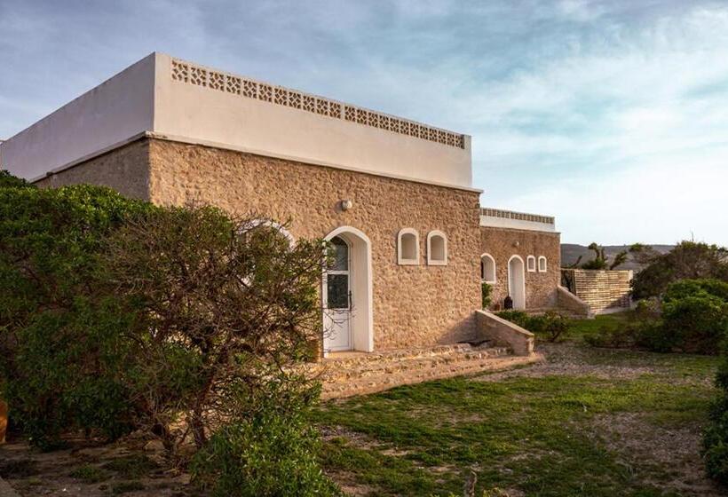 The Mogador S Oasis