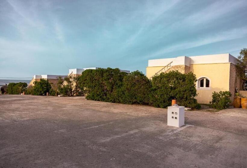 The Mogador S Oasis
