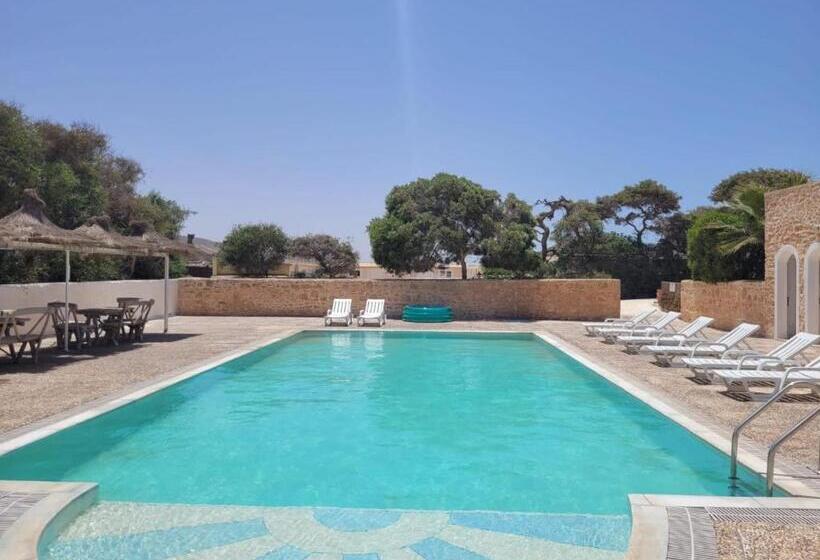 The Mogador S Oasis