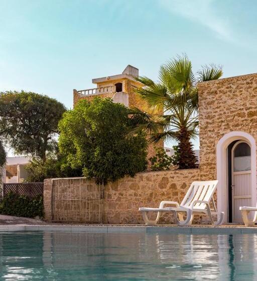 The Mogador S Oasis