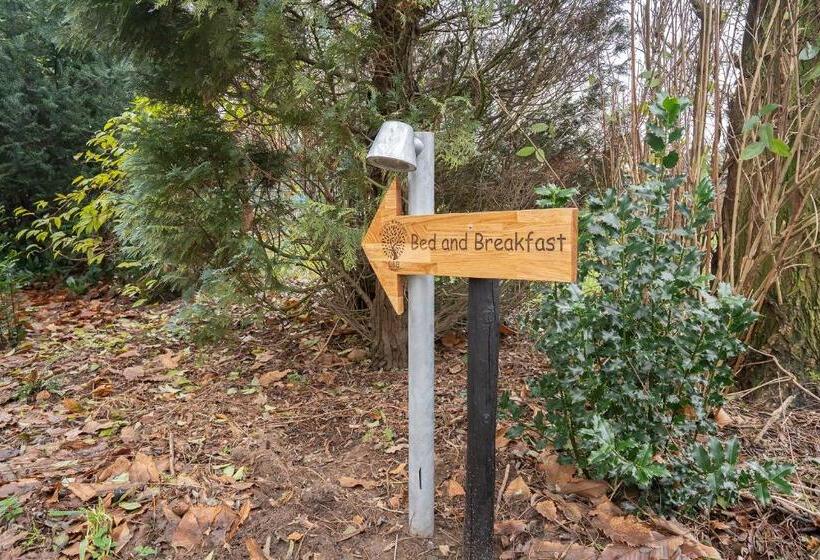 Bed And Breakfast Bij Ons In Het Bos